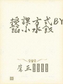 授课方式BY肉馅小水饺