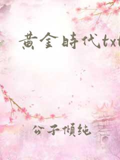 黄金时代txt