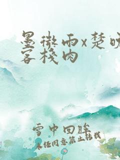 墨微雨x楚晚宁客栈肉