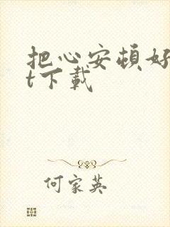 把心安顿好txt下载