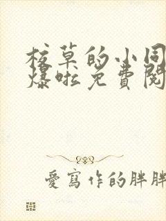 校草的小同桌撩爆啦免费阅读