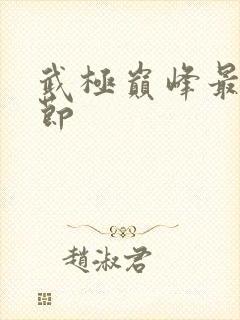 武极巅峰最新章节