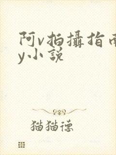 阿v拍摄指南by小说