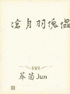 沧月羽傀儡之城