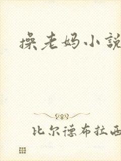 操老妈小说