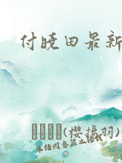 付晓田最新消息