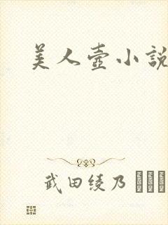 美人壶小说