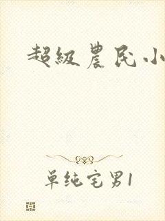 超级农民小说