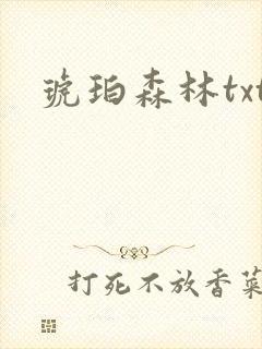 琥珀森林txt