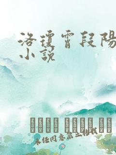 洛琼霄段阳澍的小说