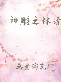 神雕之林清传