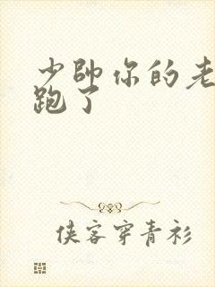 少帅你的老婆又跑了