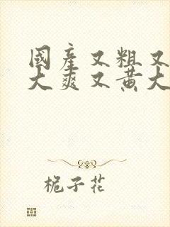 国产又粗又猛又大爽又黄大爷