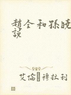 赵全和孙晓云小说