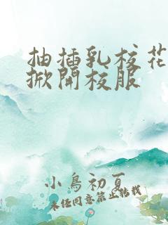 抽插乳校花老师掀开校服