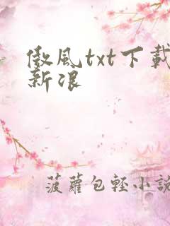 傲风txt下载新浪