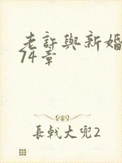 老许与新婚小倩74章