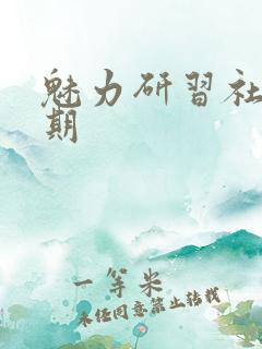 魅力研习社43期