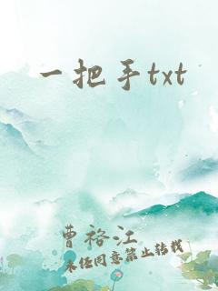 一把手txt