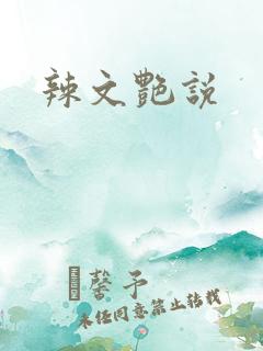 辣文艳说