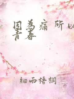 因为痛 所以叫青春