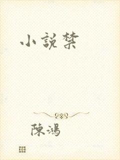 小说禁