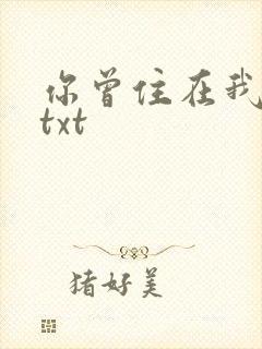 你曾住在我心上txt