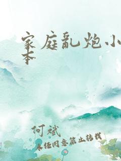 家庭乱炮小说全本