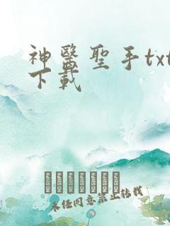 神医圣手txt下载