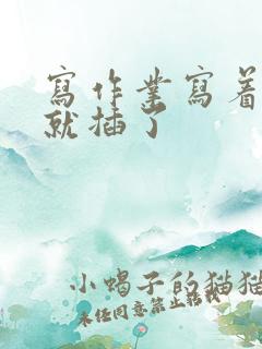 写作业写着写着就插了