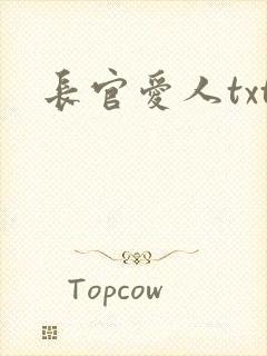 长官爱人txt