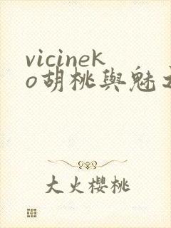vicineko胡桃与魅之恶魔