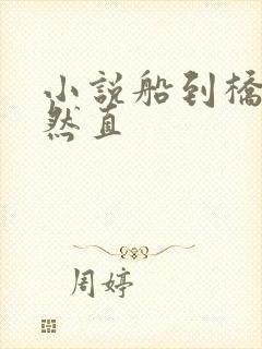 小说船到桥头自然直