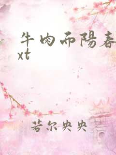 牛肉面阳春面txt