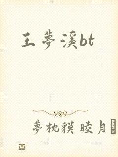 王梦溪bt