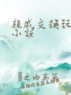 亲戚交换玩美妇小说