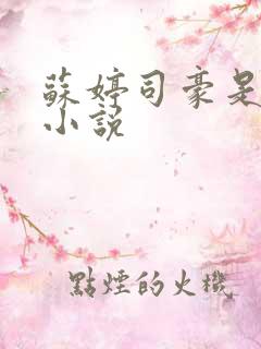 苏婷司豪是什么小说