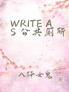 WRITE AS 公共厕所