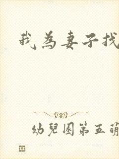 我为妻子找男妓