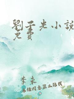 刘子光小说全文免费