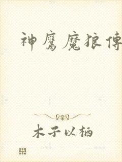 神鹰魔狼传
