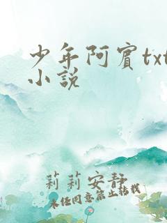 少年阿宾txt小说