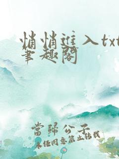 悄悄进入txt笔趣阁