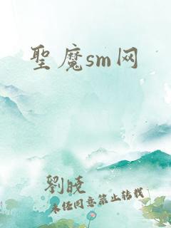 圣魔sm网