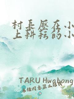 村长压在小娥身上耕耘的小说