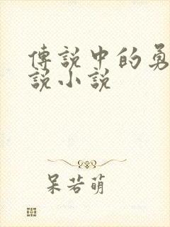 传说中的勇者传说小说