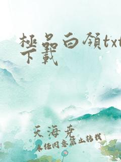 极品白领txt下载