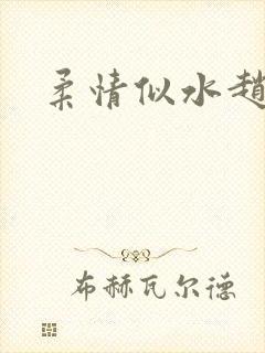 柔情似水赵雅儿