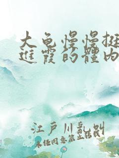 大龟慢慢挺进王进霞的体内