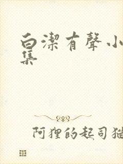 白洁有声小说全集